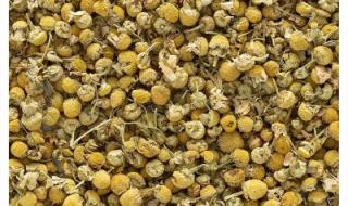 عشب طبي أذهل كل الأطباء!!.. نبتة صغيرة بمفعول سحري كنز لمن يمتلكها.. أنسى العصبية وعيش في روقان لما تجربه!!