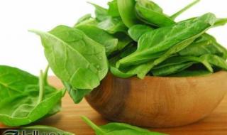 ضاع عمرنا كله مانعرفش؟؟.. فوائد سحرية عند تناول الجرجير يوميًا.. شاهد ماذا سيحدث لجسمك