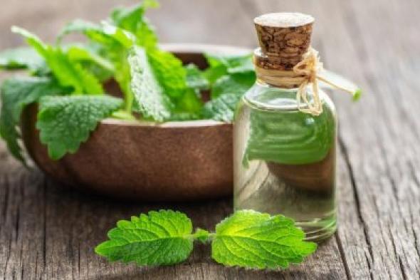 "عشبة جبارة " ... حلول طبيعية ستجدها في هذا النبات بنتائج فوق الوصف