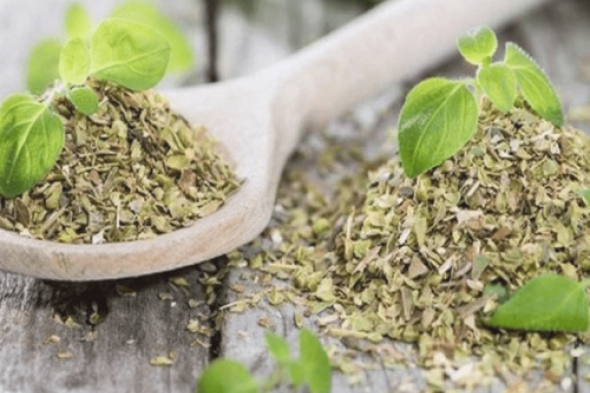 وداعا للأنسولين نهائيا... النبتة الجبارة لخفض السكر التراكمي خلال 30 دقيقة فقط .. معجزة ربانية لمرضي السكر!!