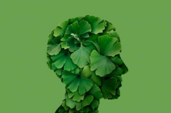 “ماتخفش من الزهايمر حتي لو عندك 90 سنة” .. عشبه جبارة موجودة في مطبخك لديها قدرة خارقه في تنشيط الذاكرة للأبد .. هتخلي دماغك كمبيوتر