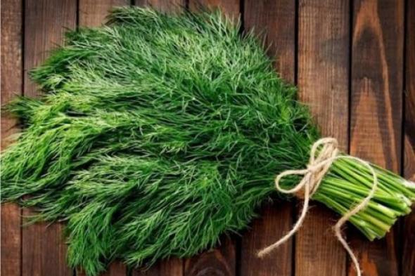 هيخليك زي الحصان في يوم وليلة .. نبات معجزه موجود في مطبخك ولكنه كنز أغلي من الذهب !!.. ازاي عايشين ومانعرفش؟؟؟