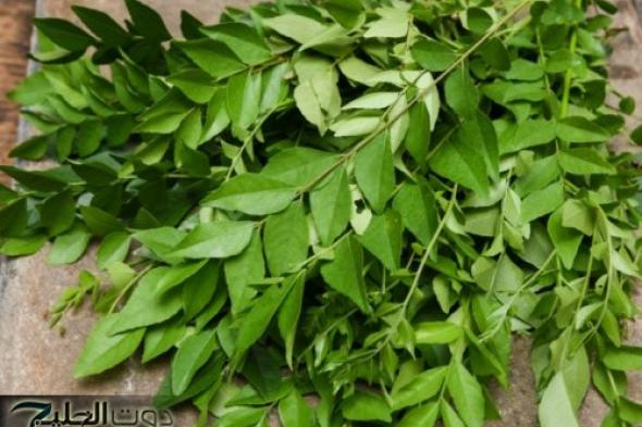 "معجزه ربانية من الباري لعباده!".. عشبة جبلية تمتص السكر في الدم.. وهي أقـوى سبعين مرة من إبر الانسولين.. تعرف عليها.!