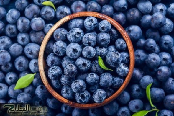 "بسعر التراب ولكن مفعولها جبار" .. فاكهة سحرية تزرع في مصر تمنع الشيخوخة المبكره وتتحكم في مستوي السكر في الدم وتعتبر الحل الأمثل لـ"ضغط الدم"!