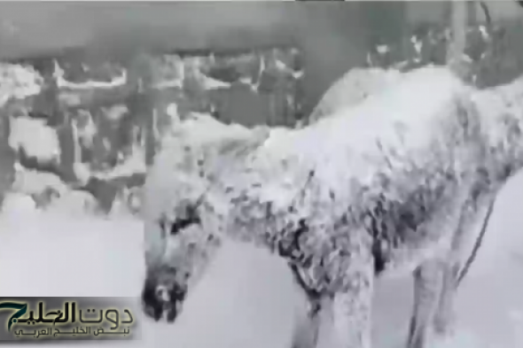 الأرصاد السعودية تطلق تنبيهات : موجة صقيع شديدة تضرب هذه.