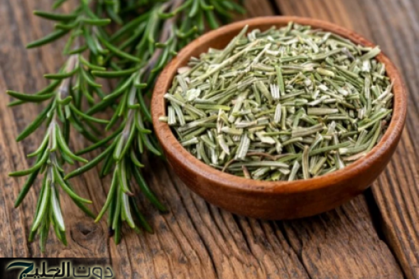 العشبة الربانية الجبارة التي أعادت الأمل والحياة للعجائز والمسنين. عشبة بسيطة مهملة موجودة في كل منزل دون أن تعلم الكنز العجيب والكبير الذي تحتويه