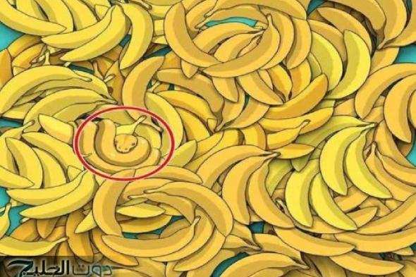 ركز جيداً.. 1 % فقط استطاعوا اكتشاف الحيوان المخفي بين الموز في 5 ثوانٍ.. هل أنت منهم؟ -