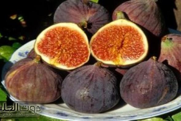 يجب أن يكون التين جزءا من نظامك الغذائي اليومي.. إليك السبب